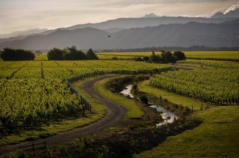 Conders Bend Viticulture Development - Marlborough Conders Bend Viticulture Development - Marlborough